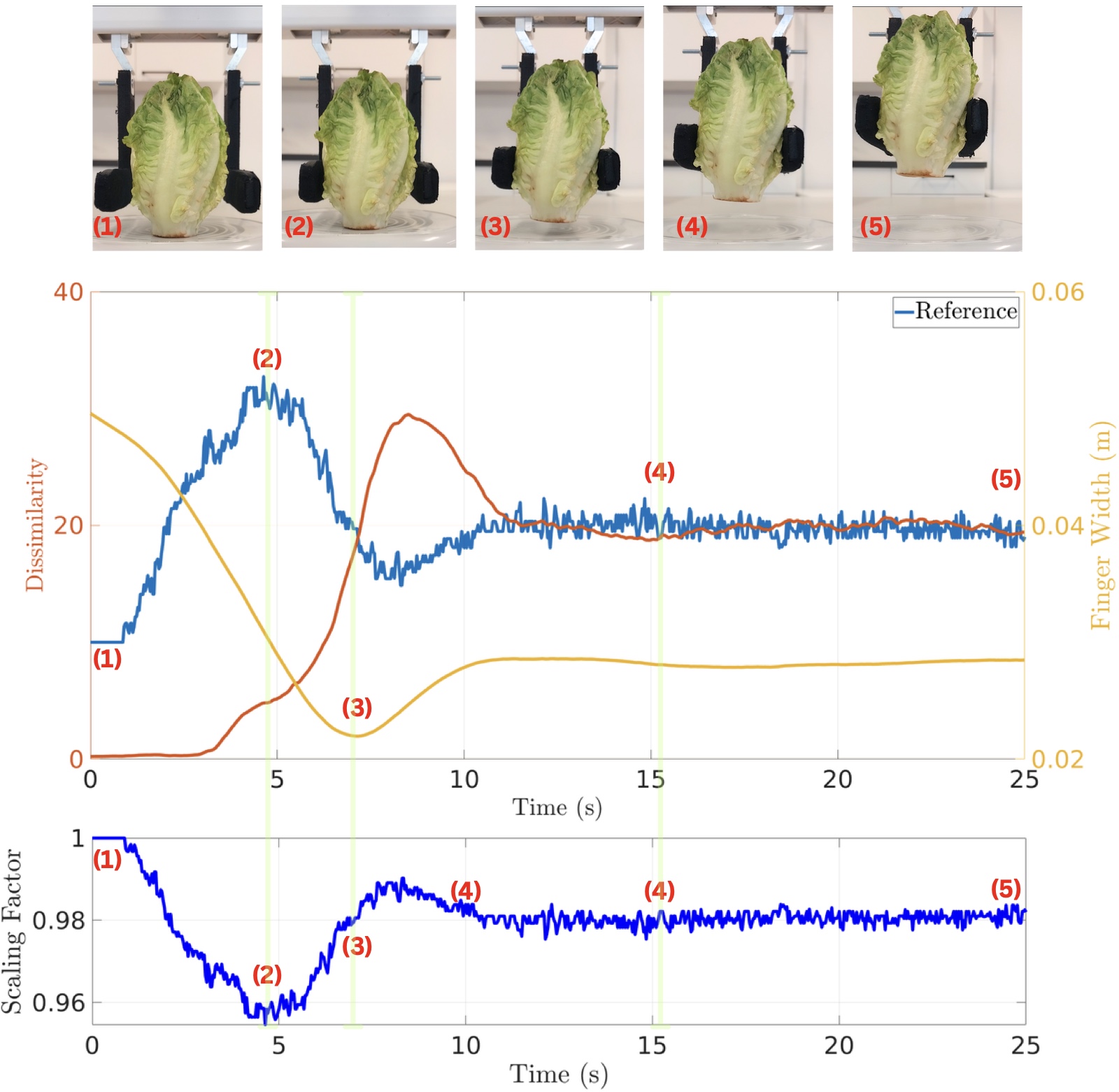 Grasping lettuce over time